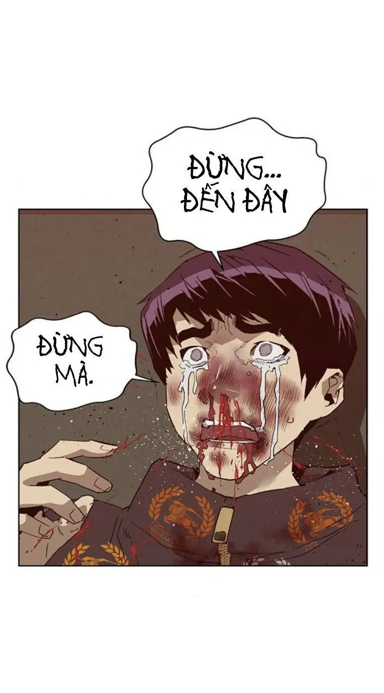 Chapter 260