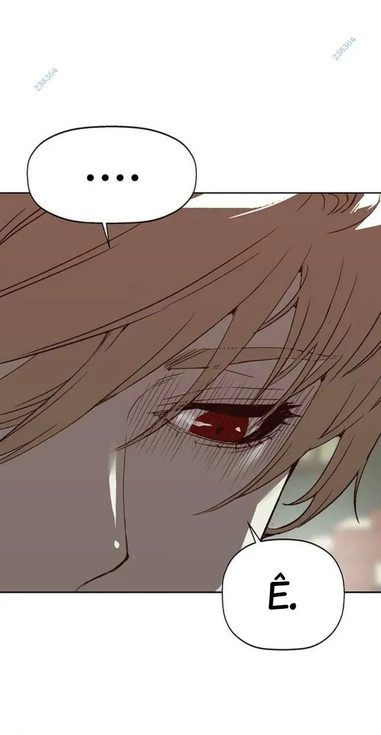 Chapter 260