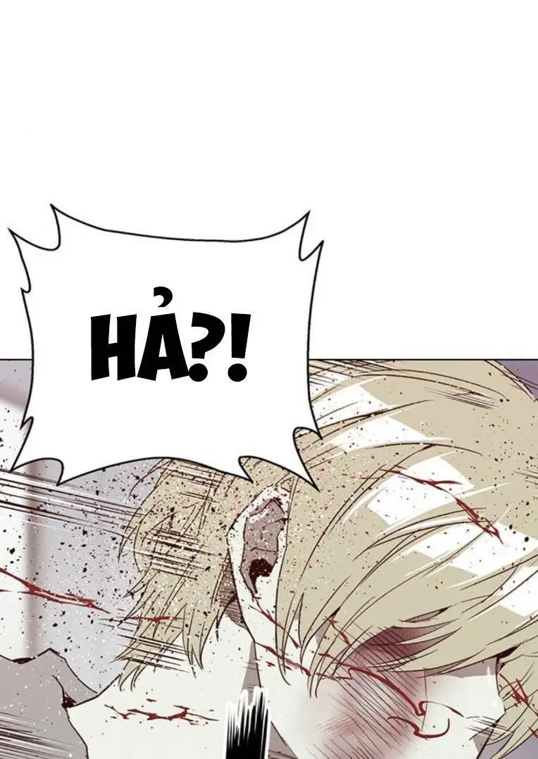 Chapter 260