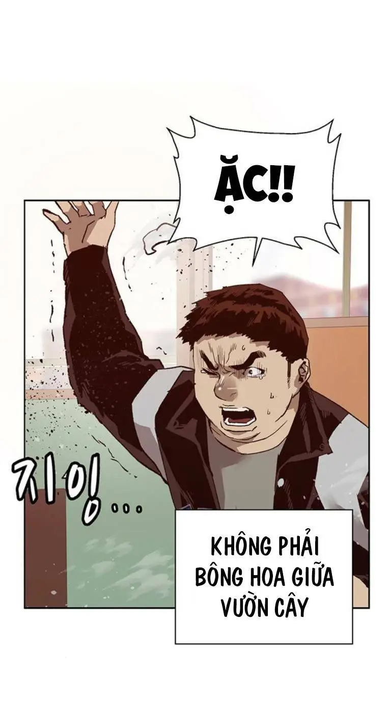 Chapter 260