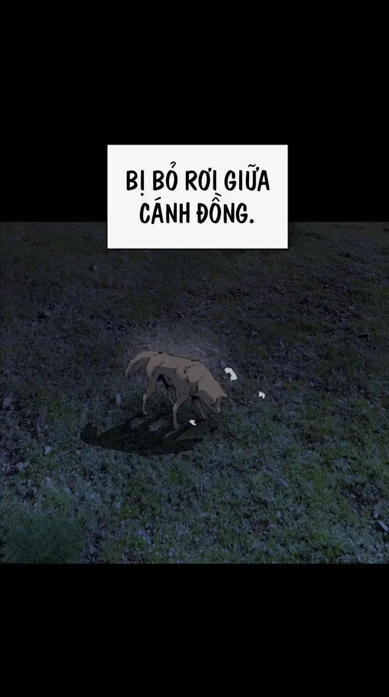Chapter 257