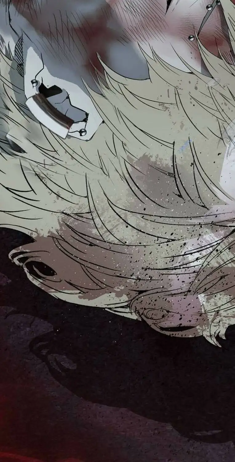 Chapter 256