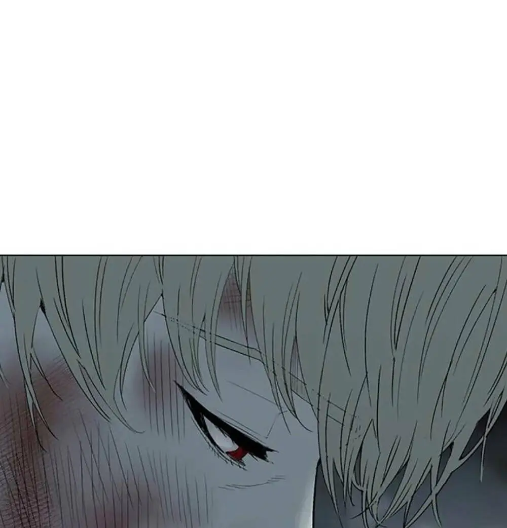 Chapter 255