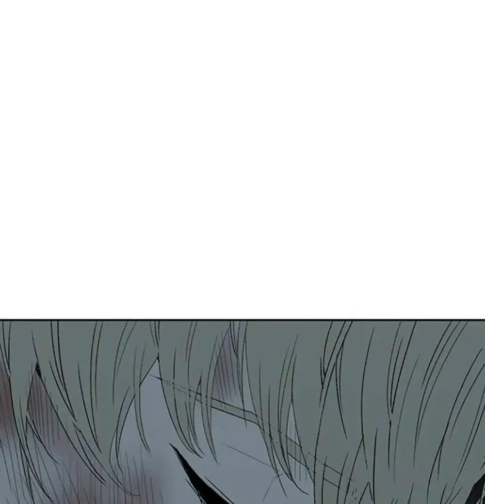 Chapter 255