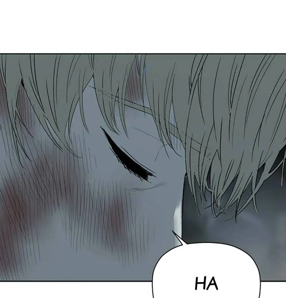Chapter 255