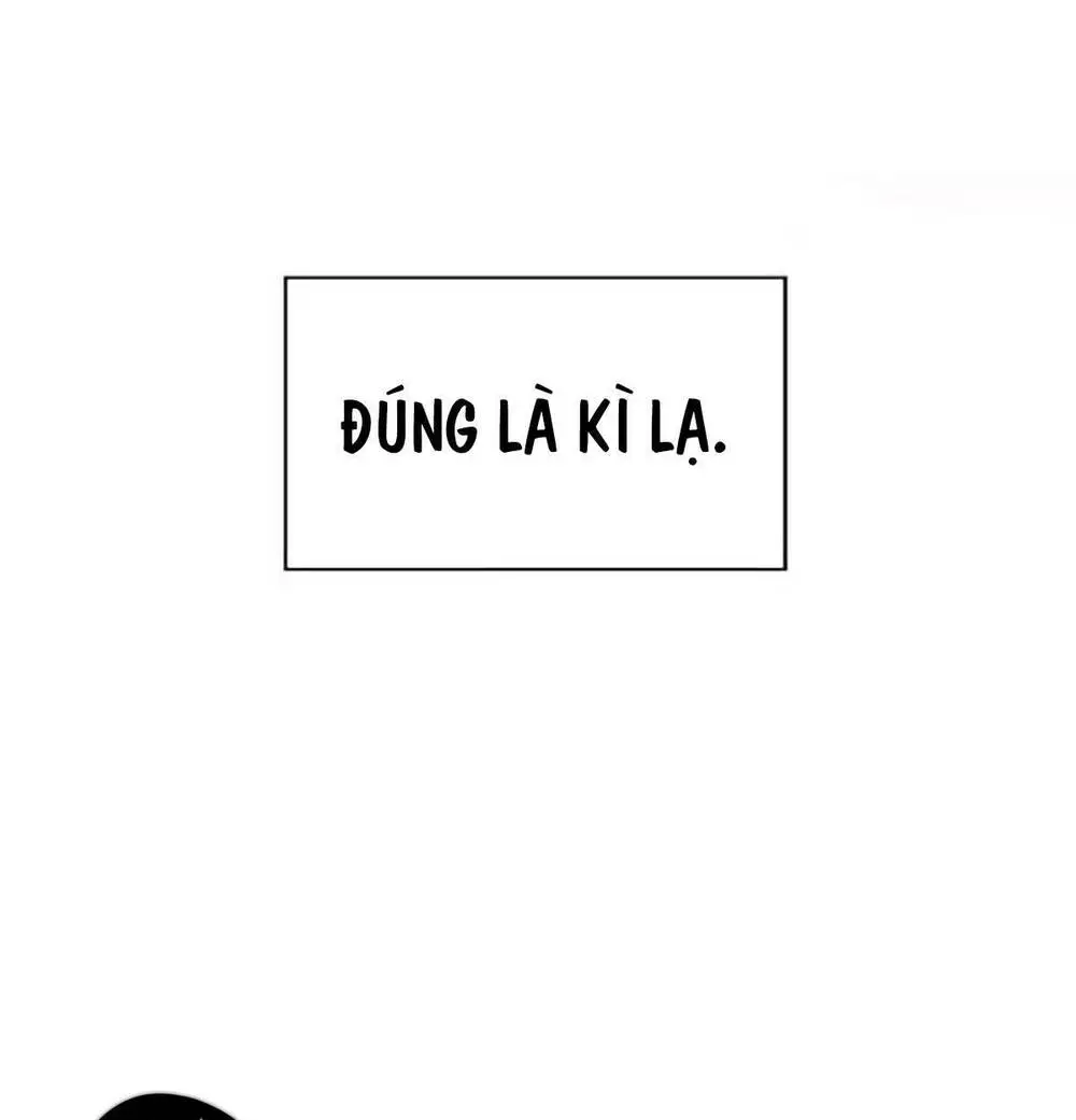 Chapter 255