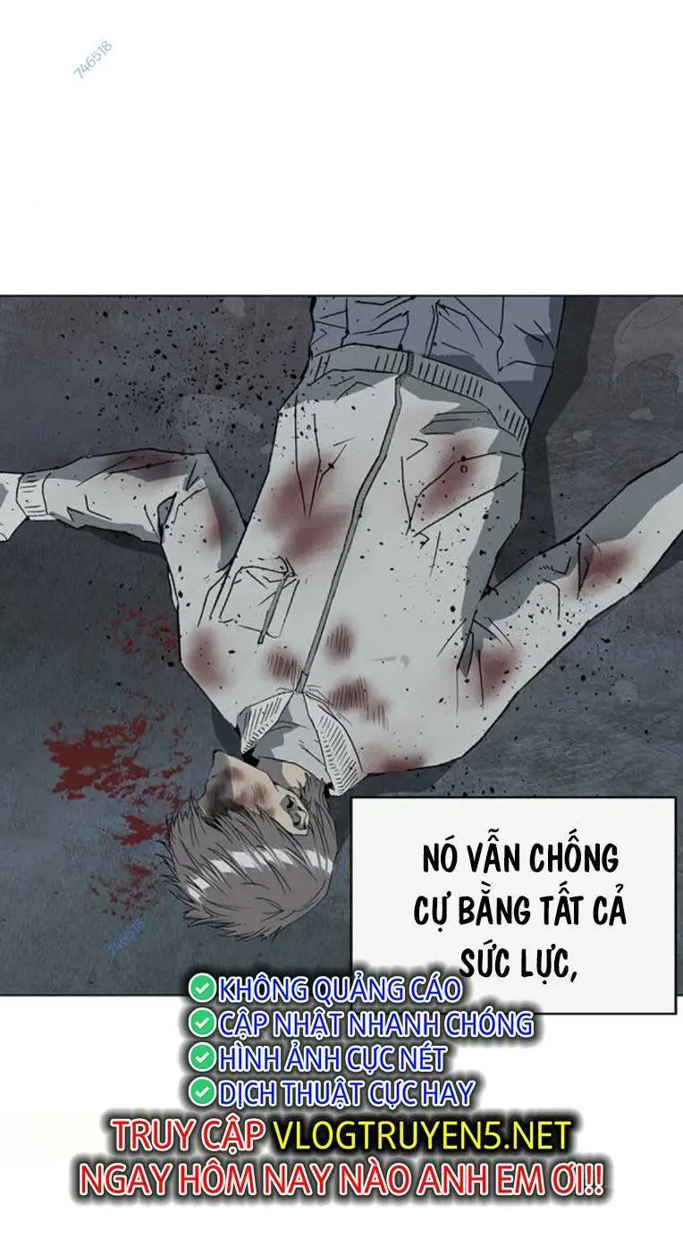 Chapter 254