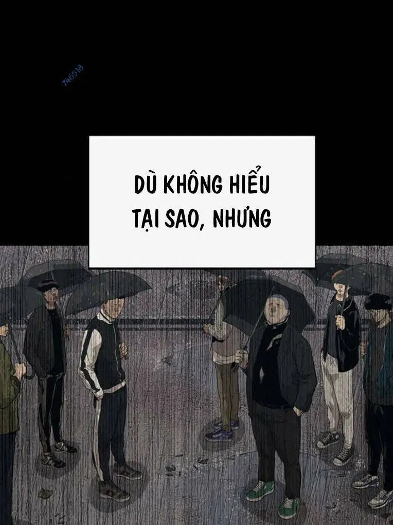 Chapter 254