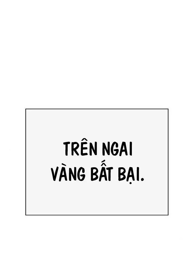 Chapter 254