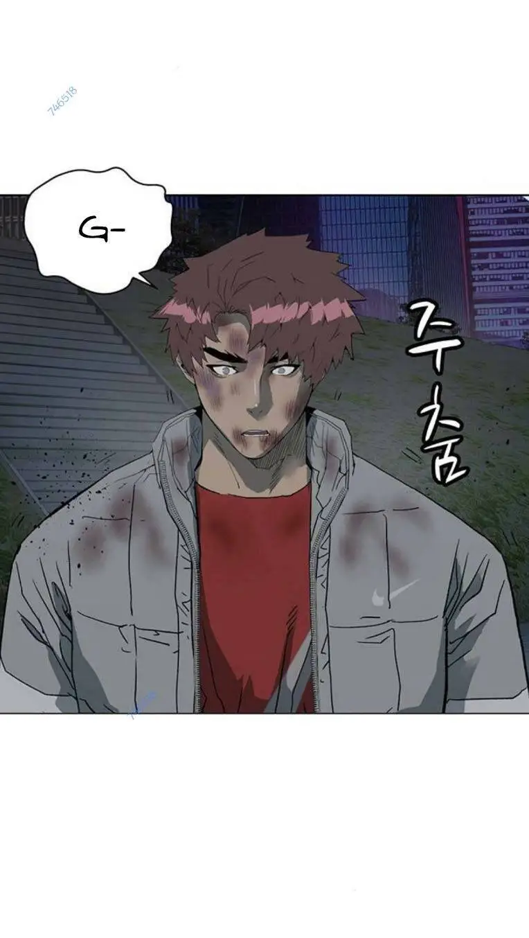 Chapter 254