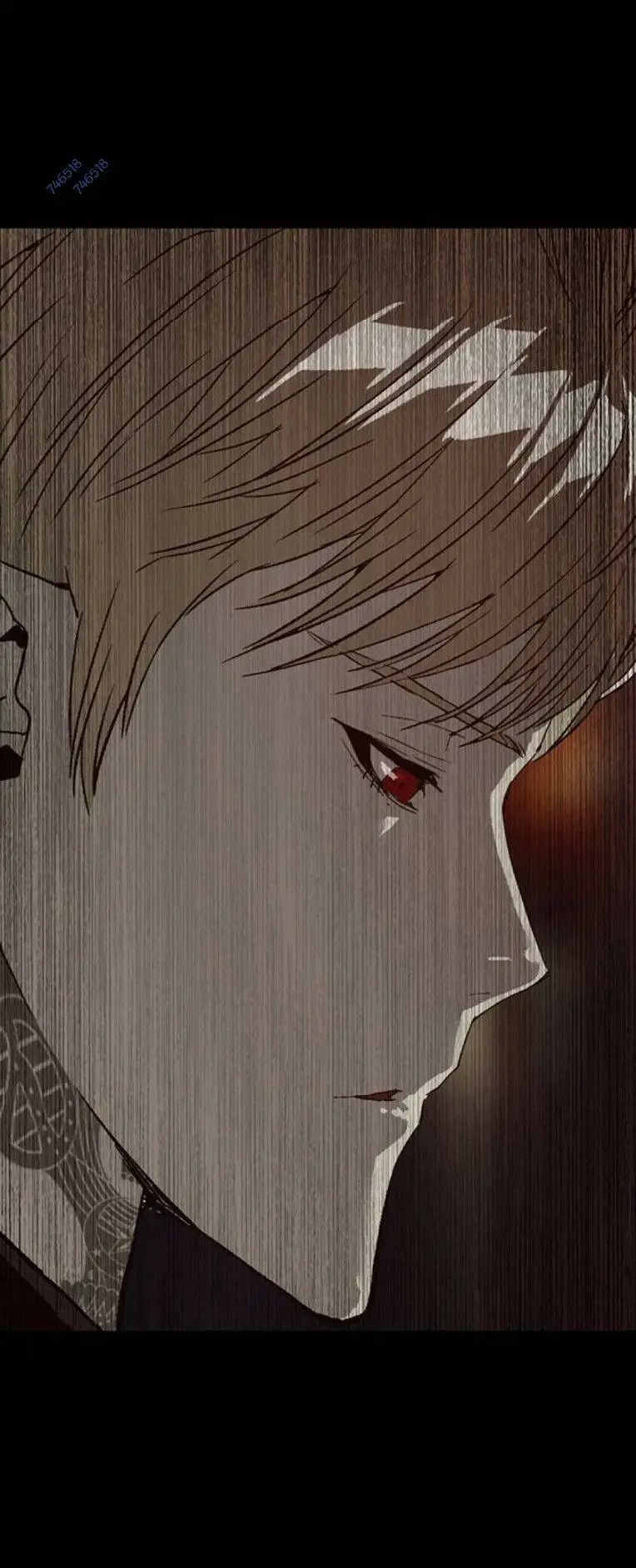 Chapter 254