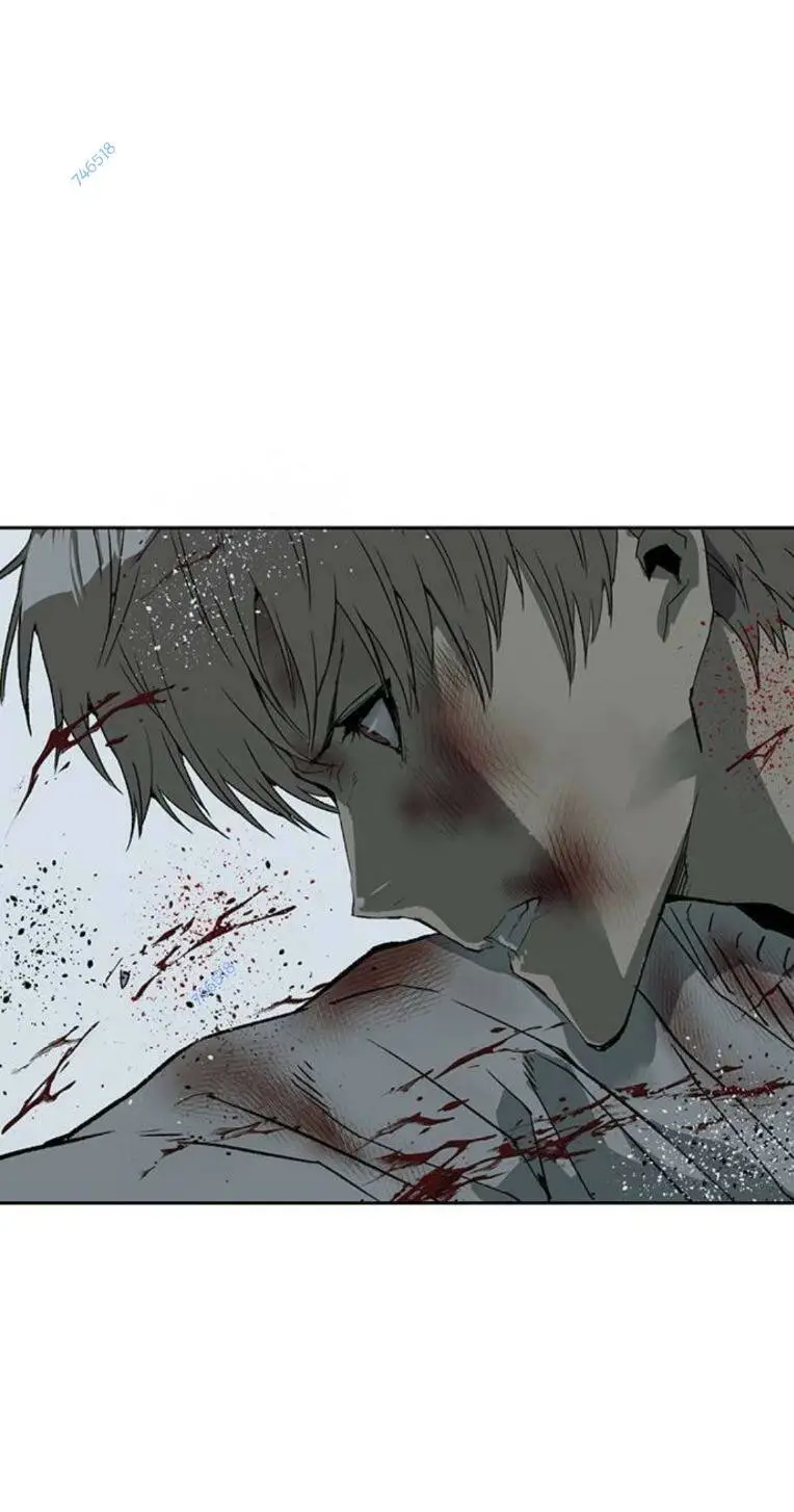 Chapter 254