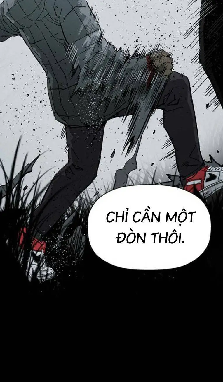 Chapter 253