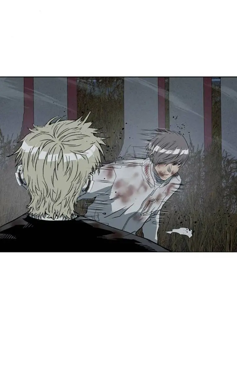 Chapter 253