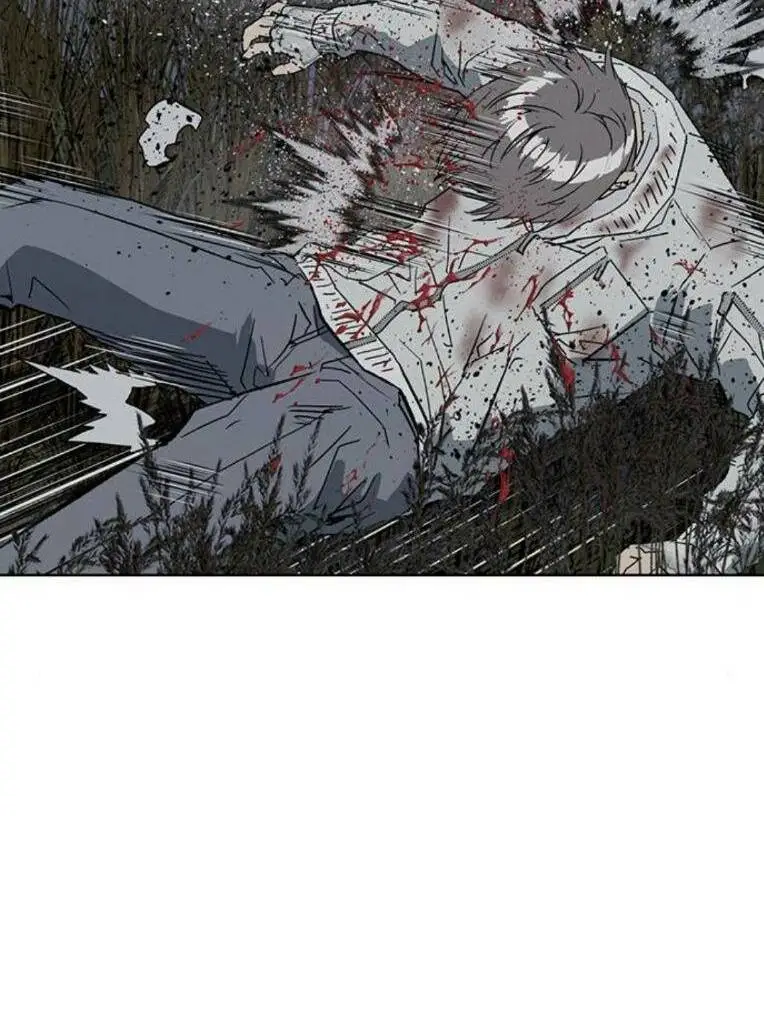 Chapter 253
