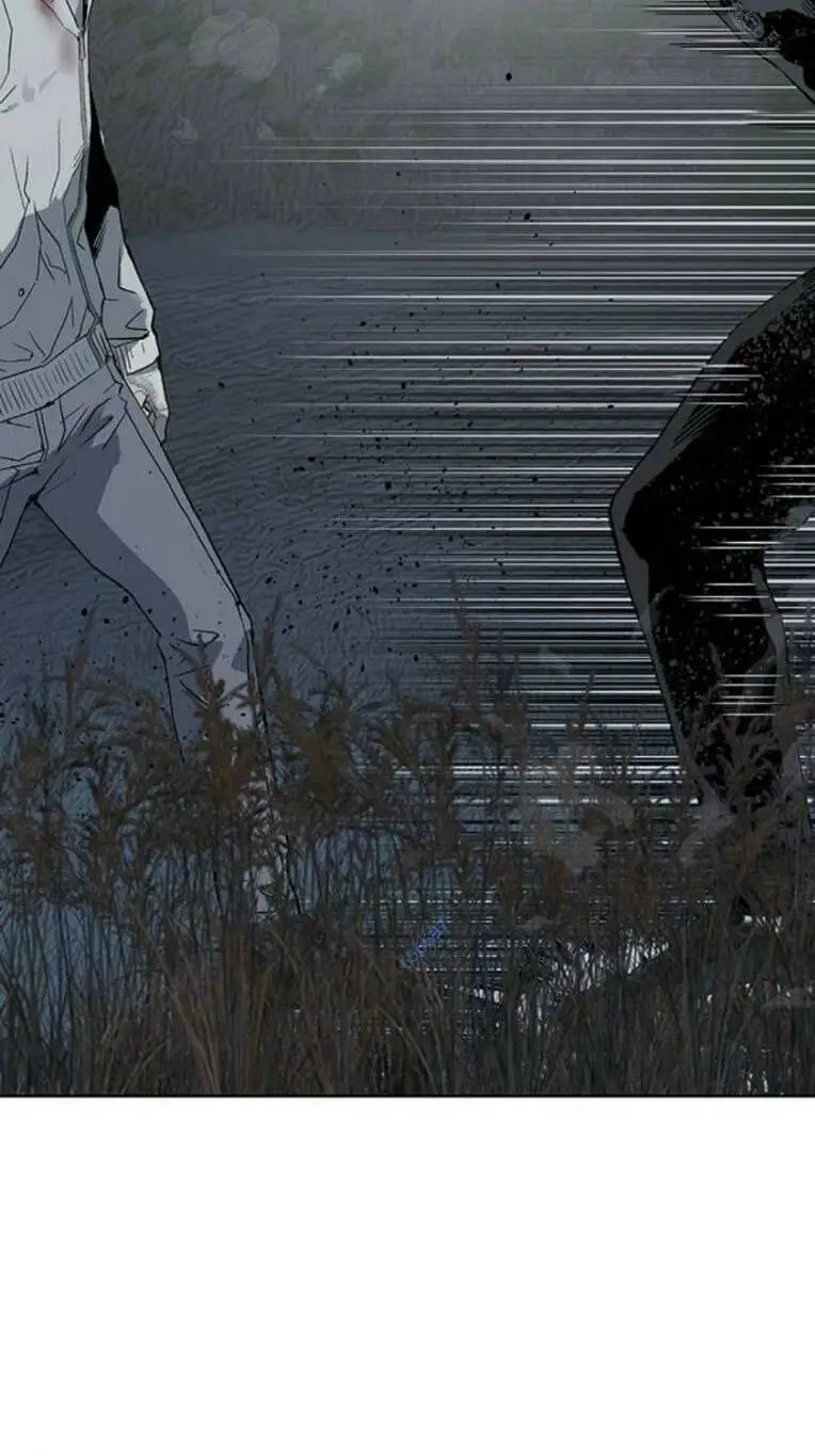 Chapter 252