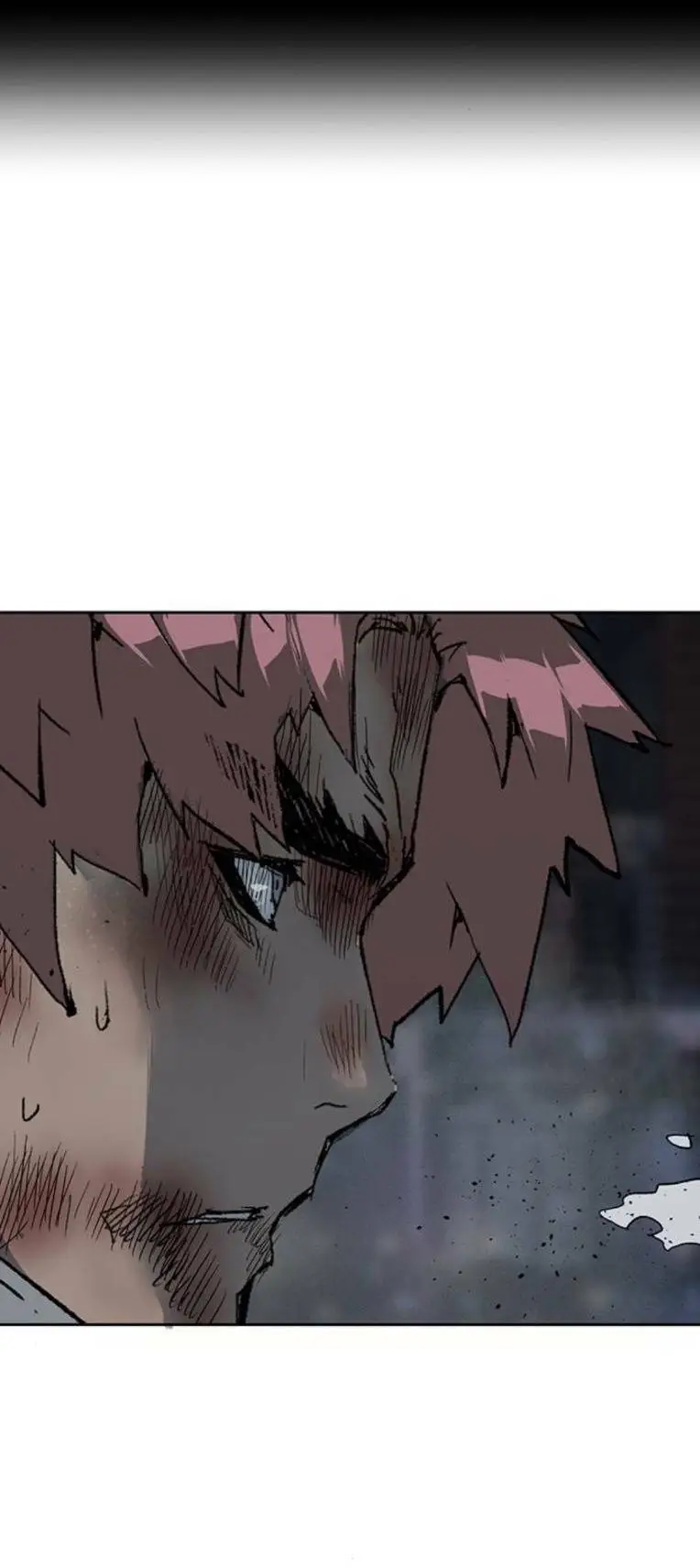 Chapter 252
