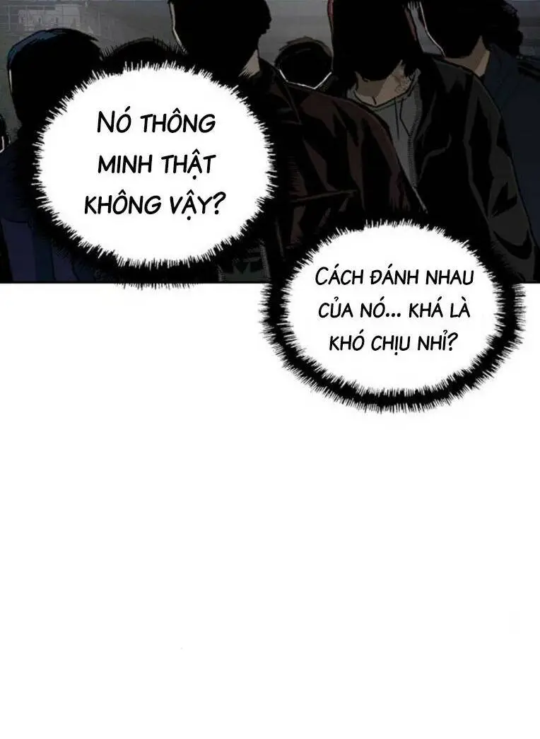 Chapter 252
