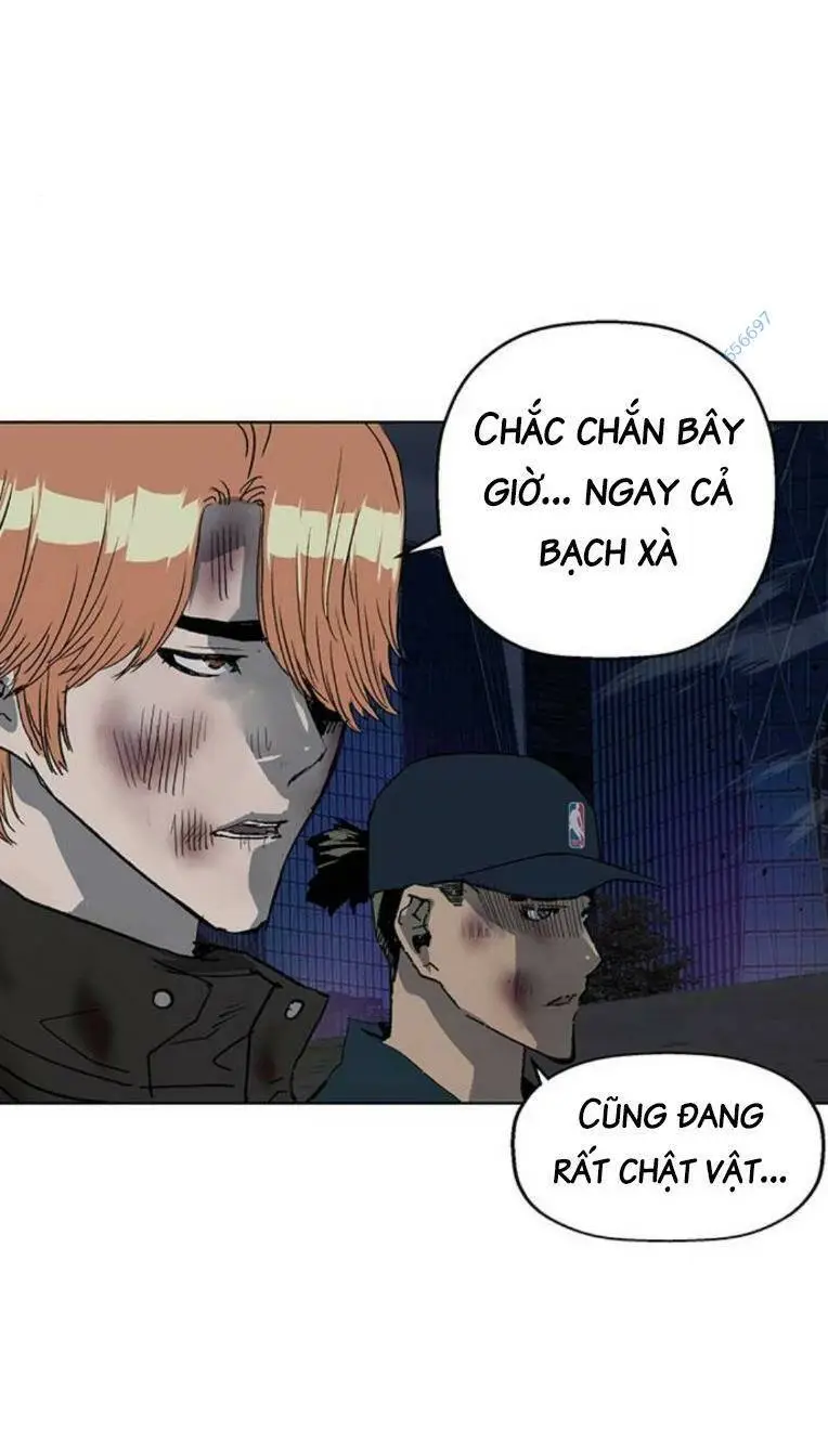 Chapter 252