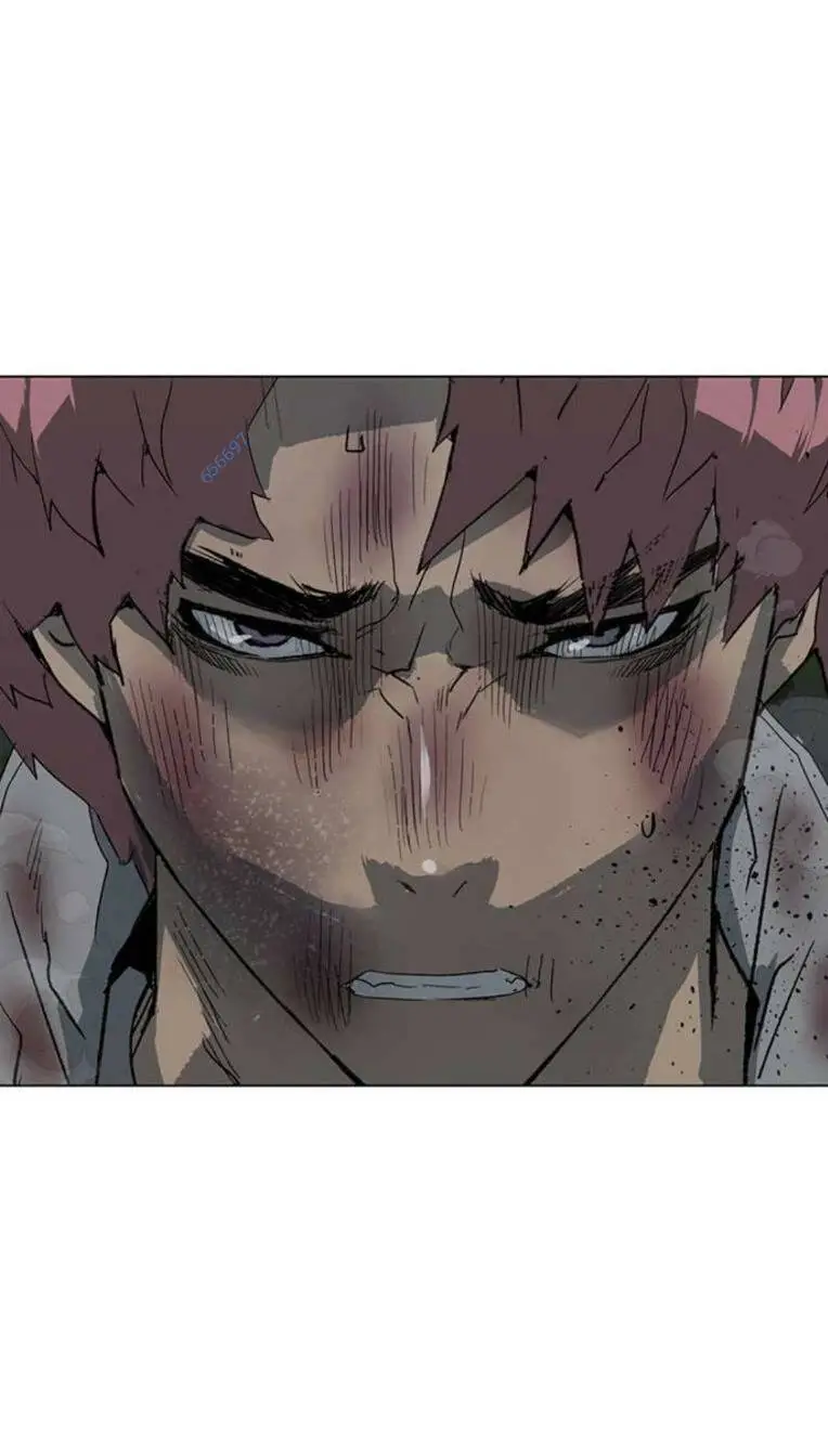Chapter 252