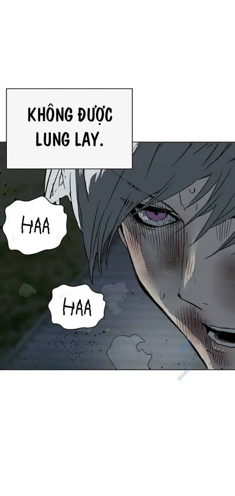 Chapter 252