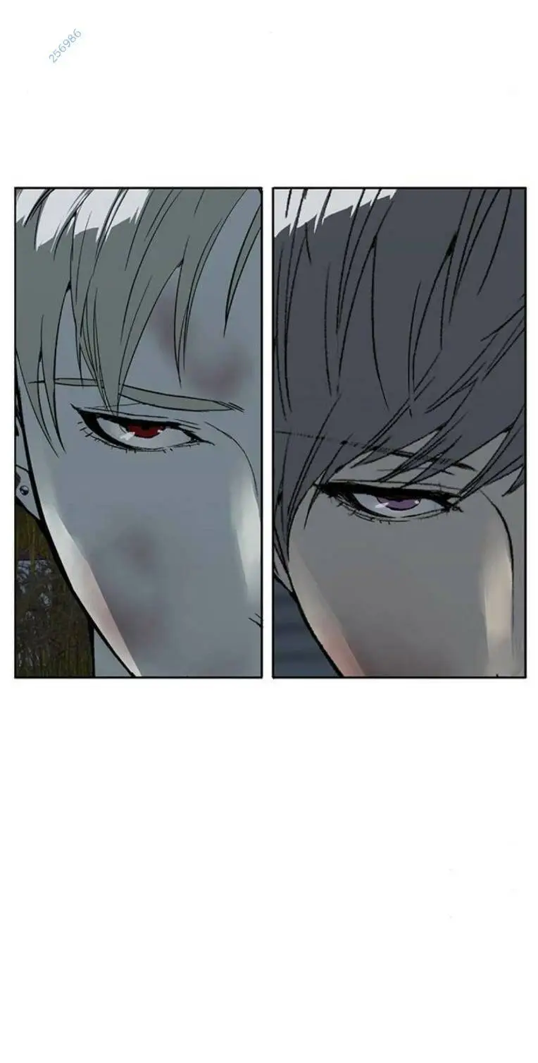 Chapter 250