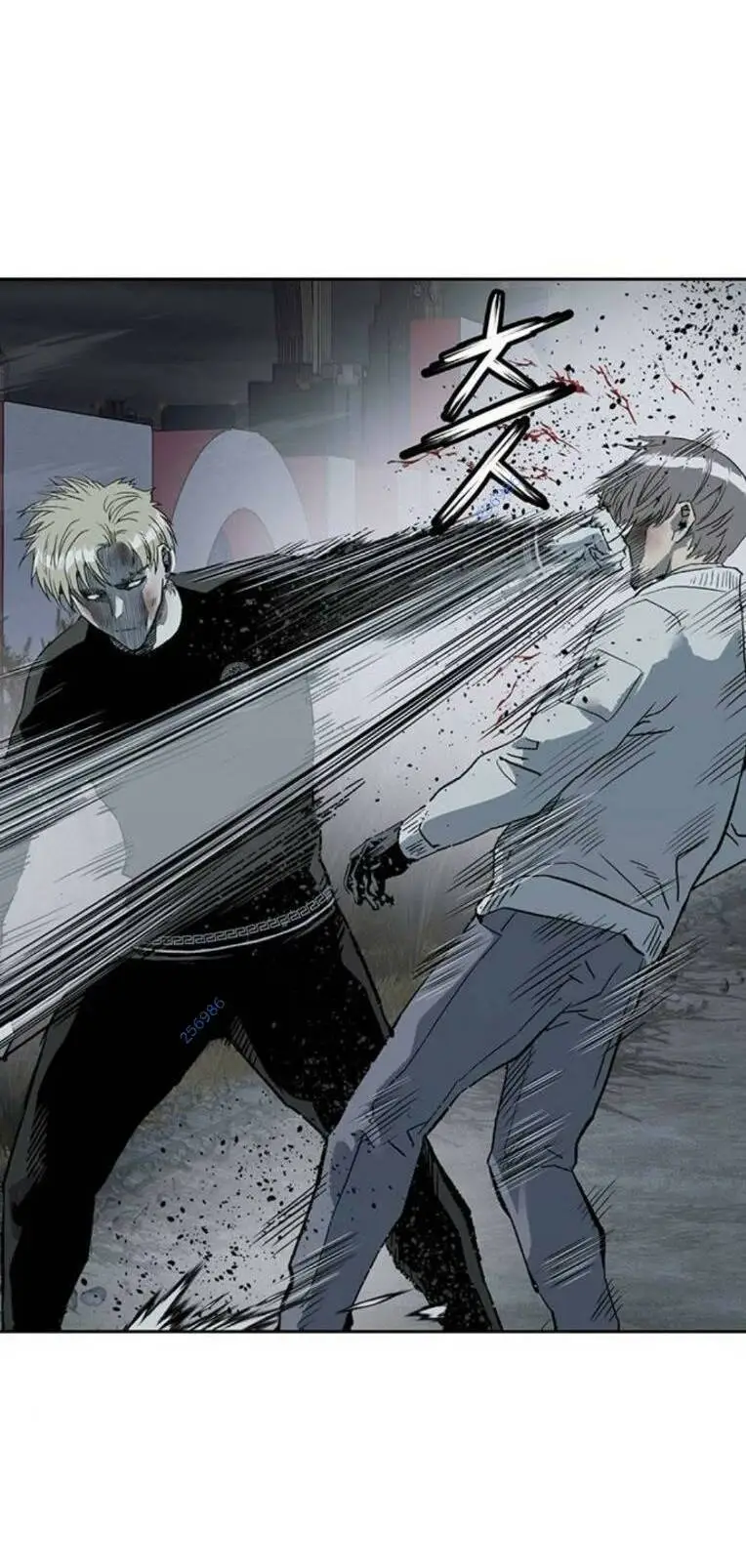 Chapter 250