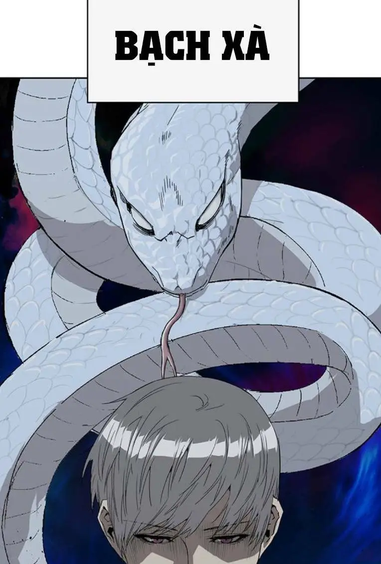 Chapter 249