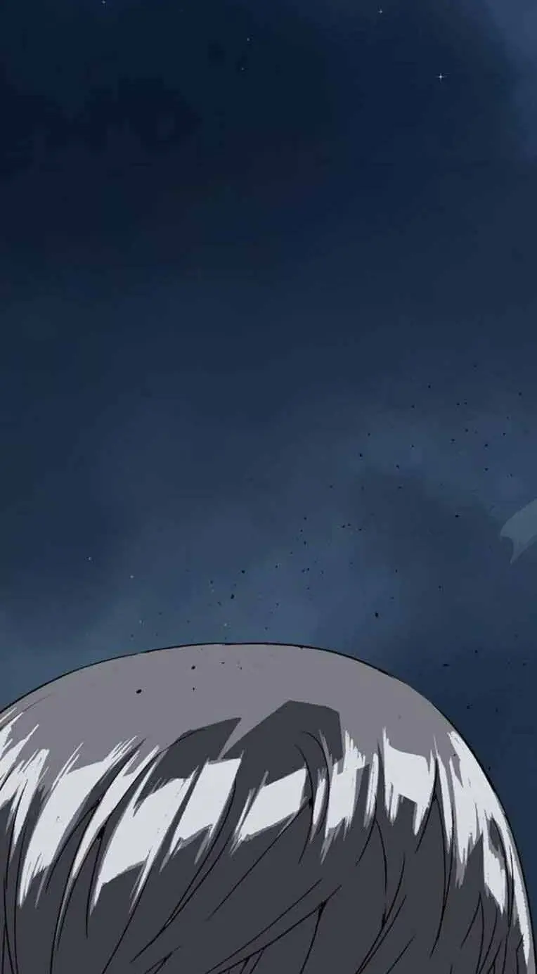 Chapter 248