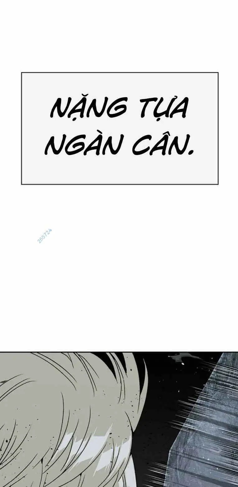 Chapter 248