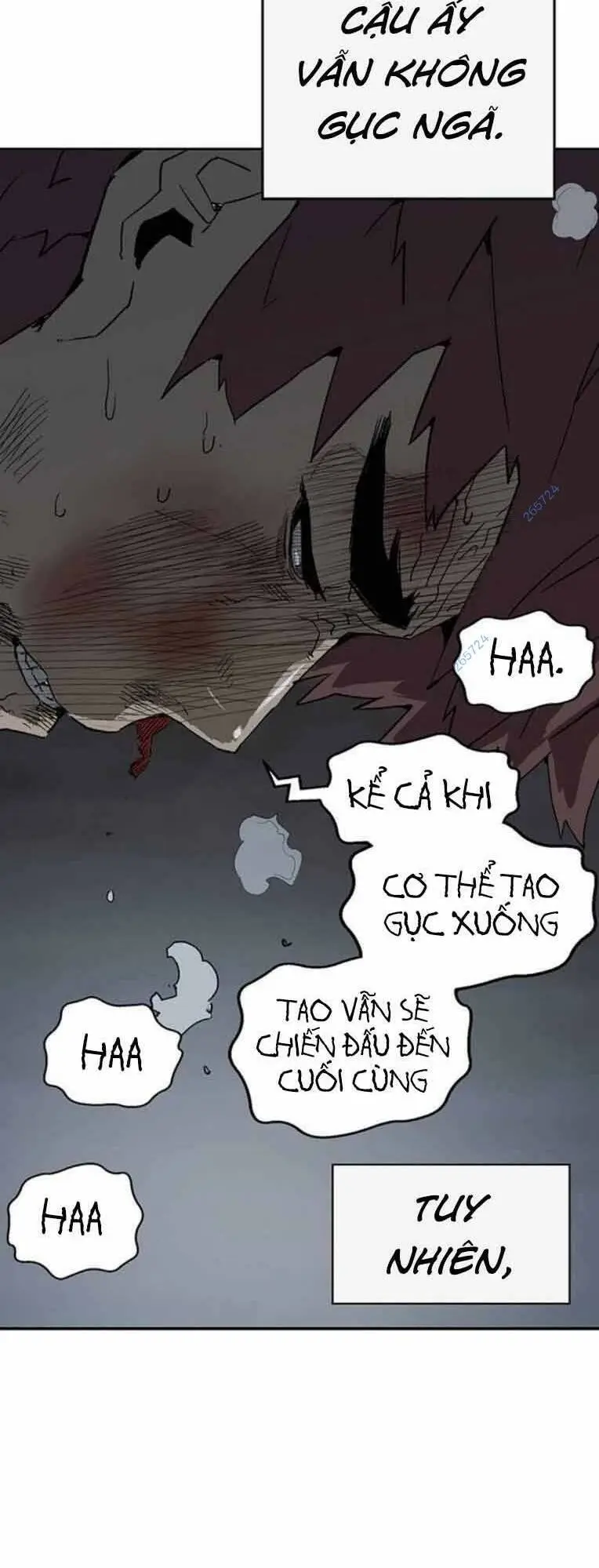 Chapter 248