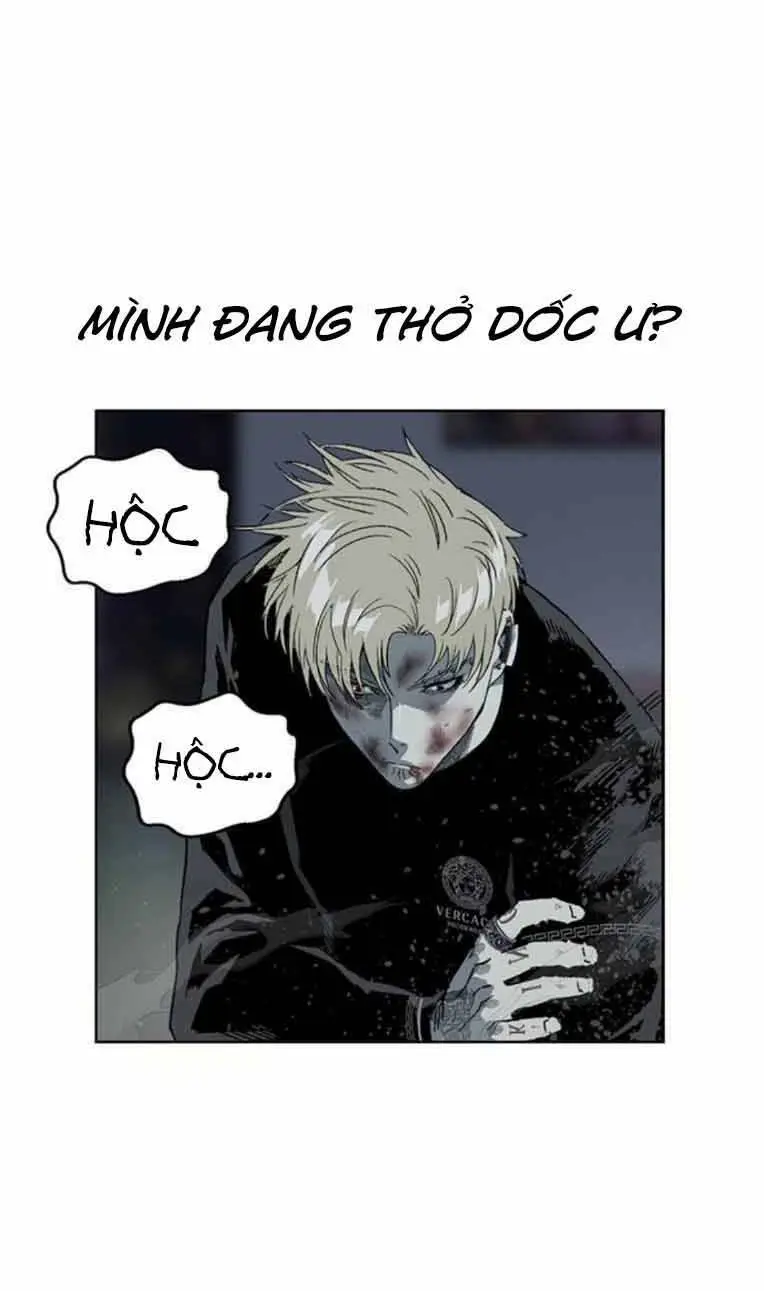 Chapter 248