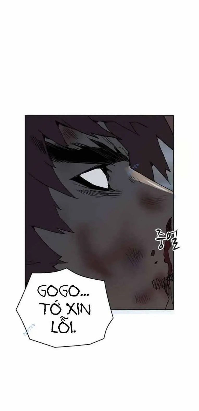 Chapter 248