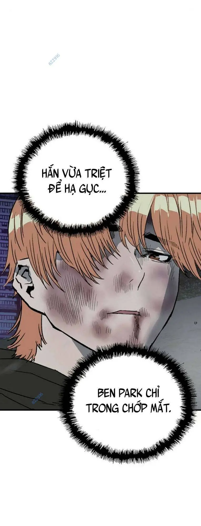 Chapter 247