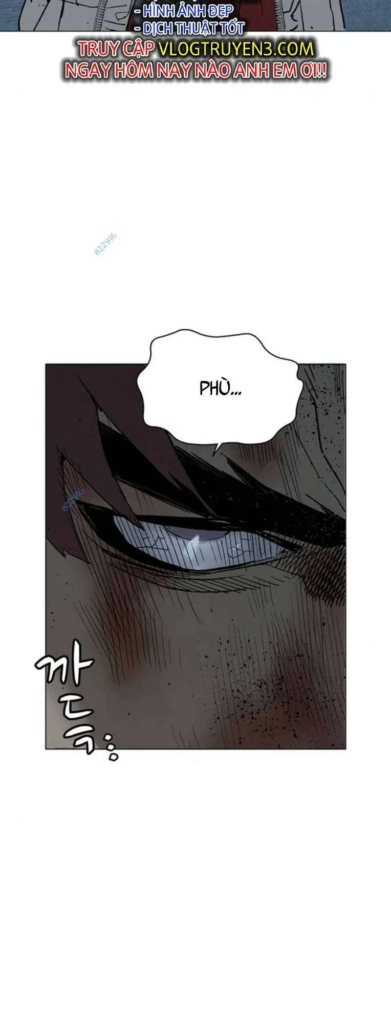 Chapter 247