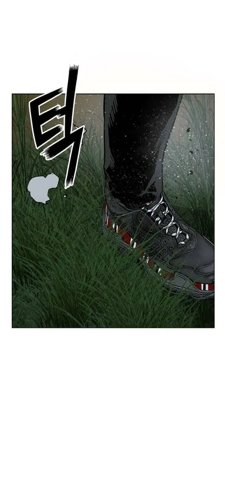 Chapter 246