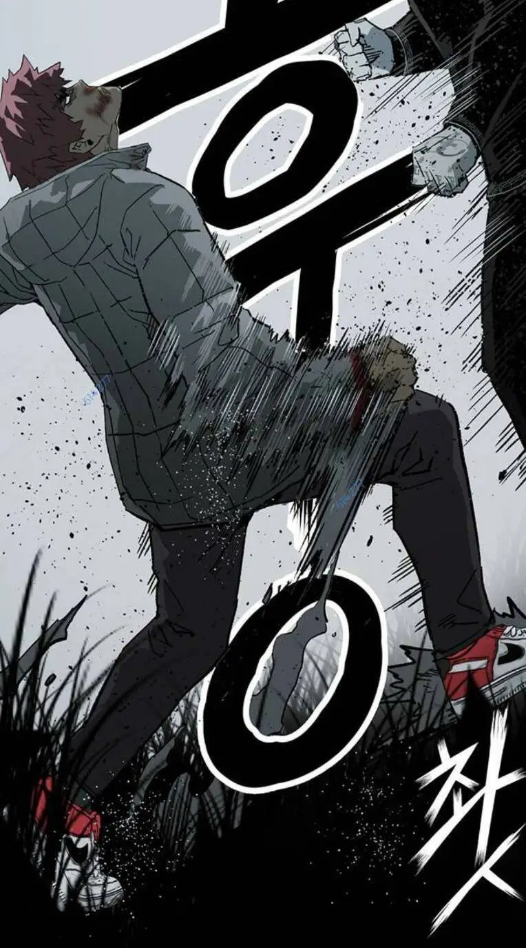 Chapter 246