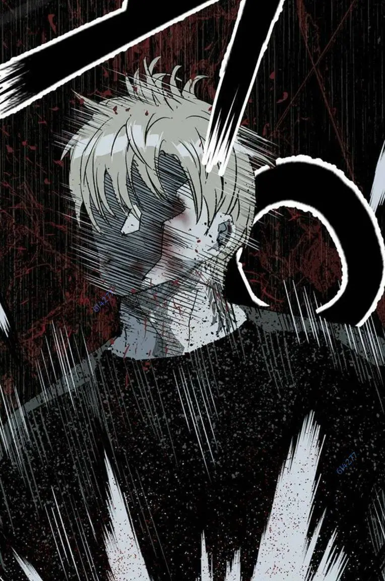 Chapter 246