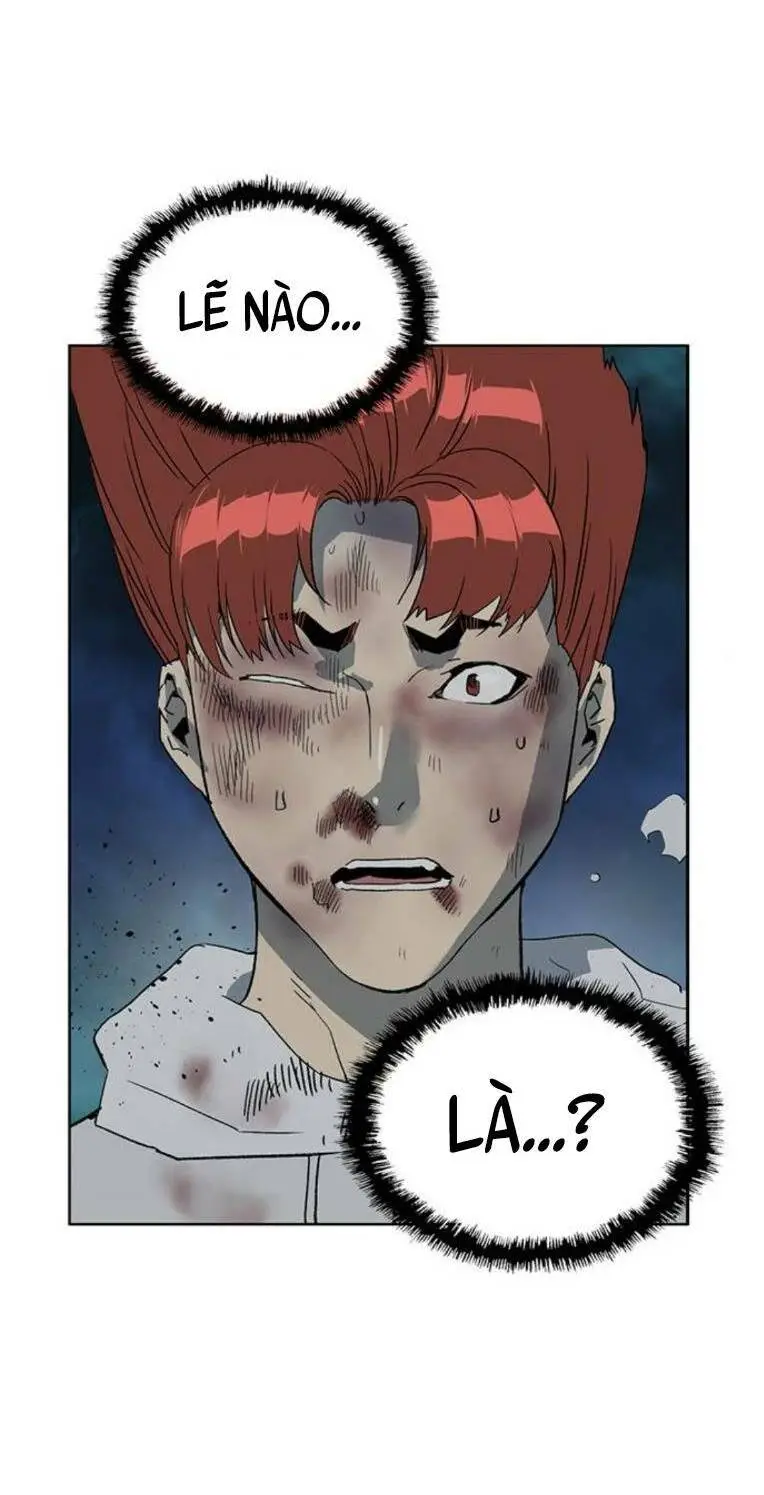 Chapter 246
