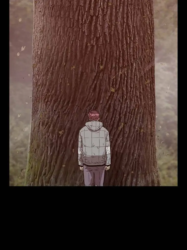 Chapter 246