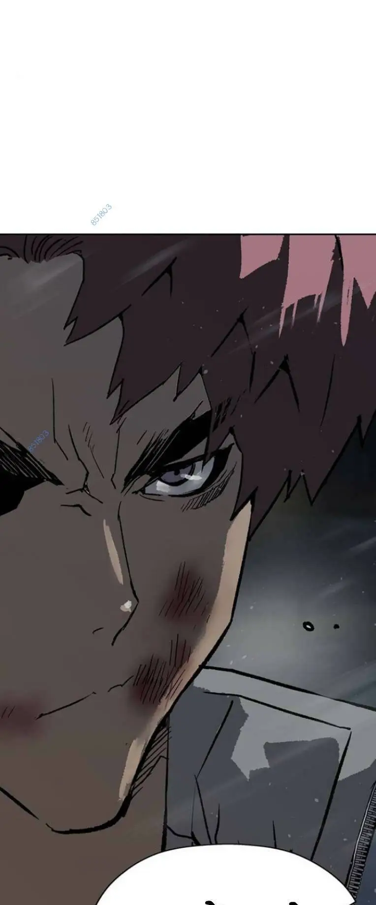 Chapter 245