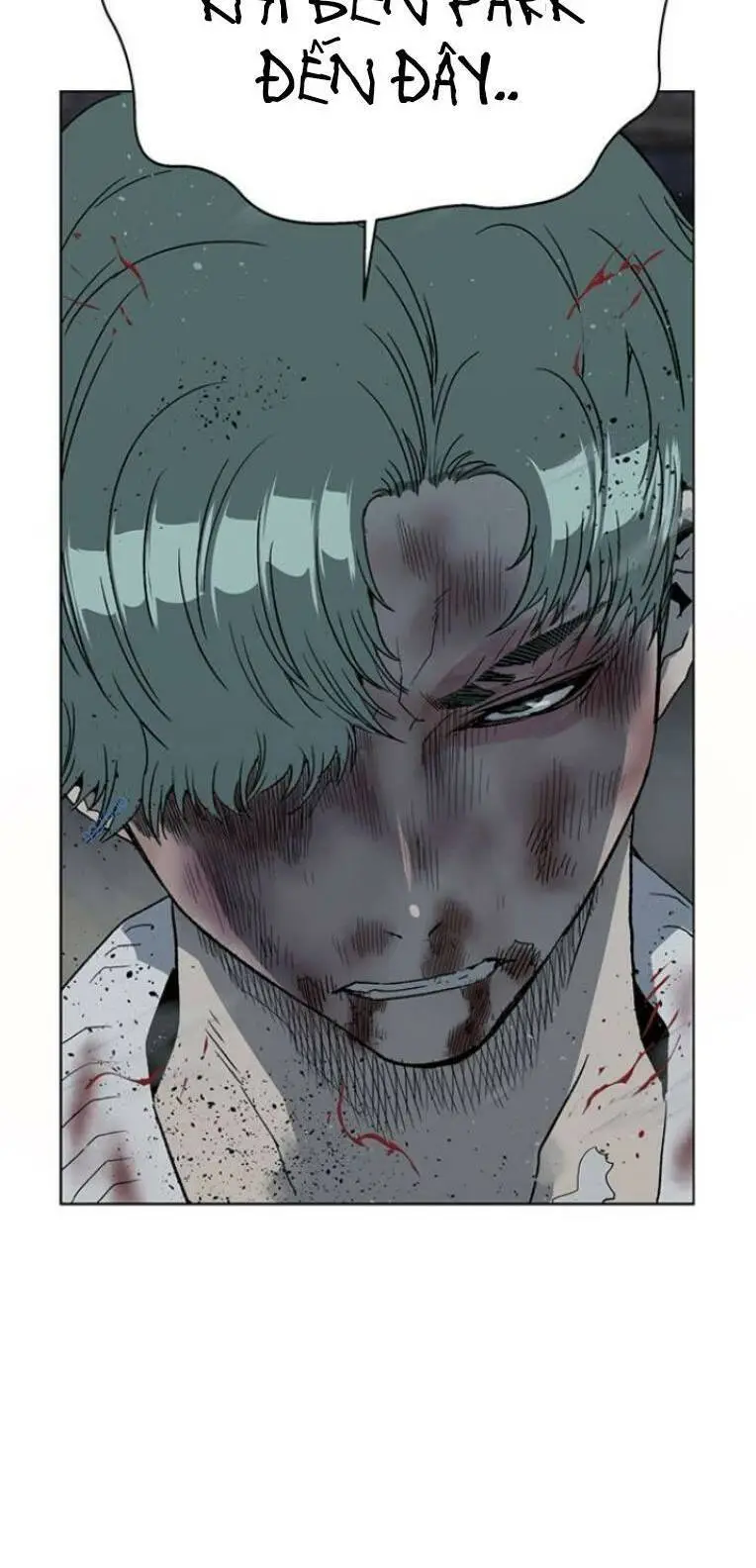 Chapter 244