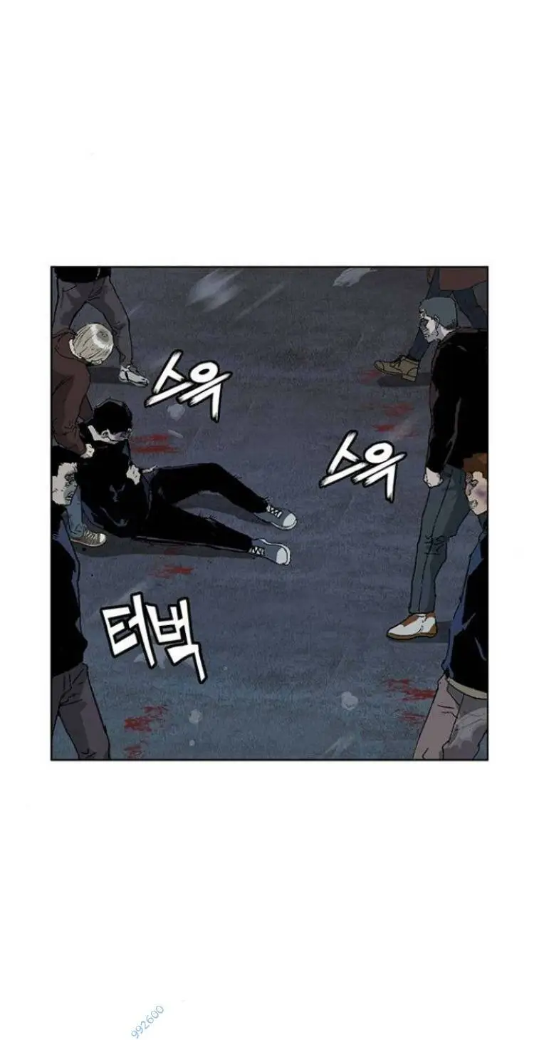 Chapter 244