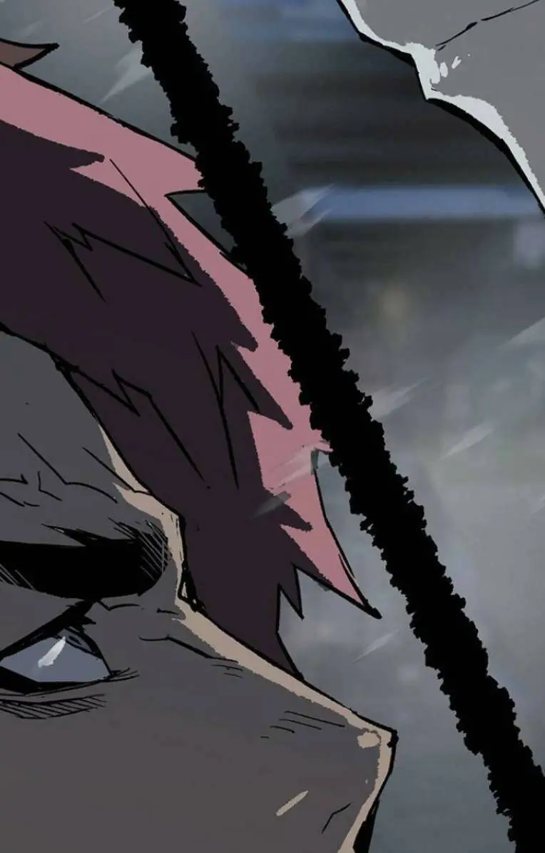 Chapter 244
