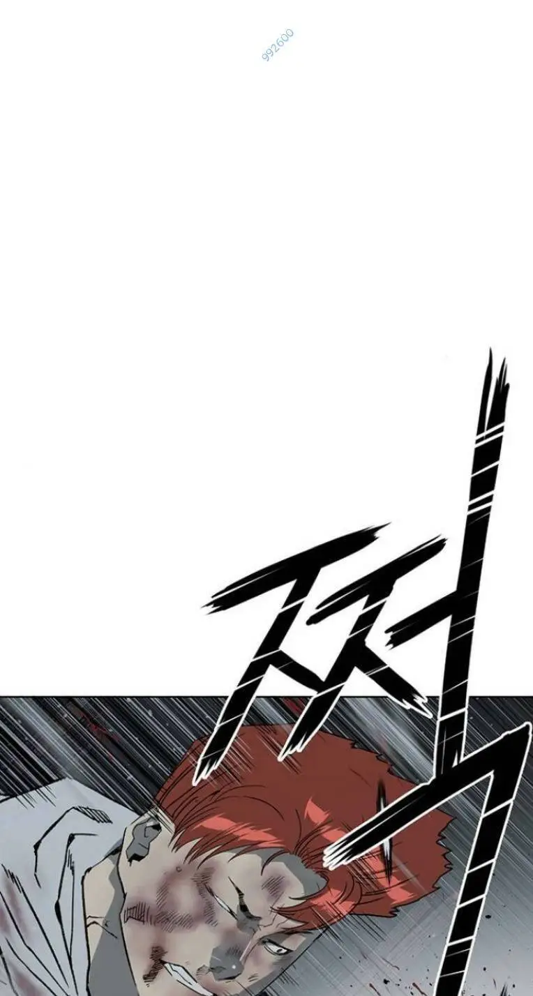 Chapter 244