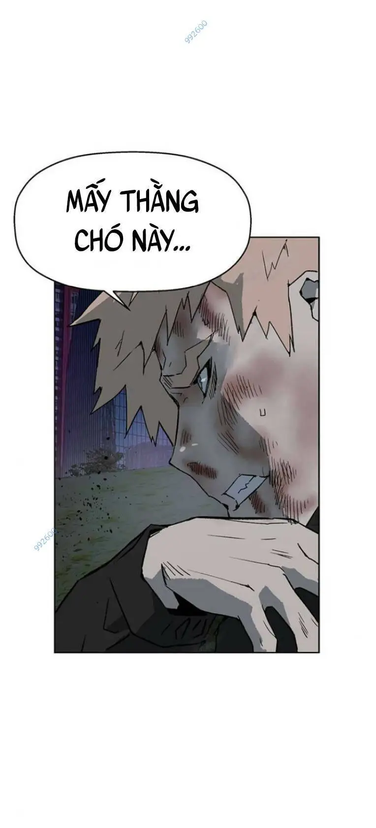 Chapter 244