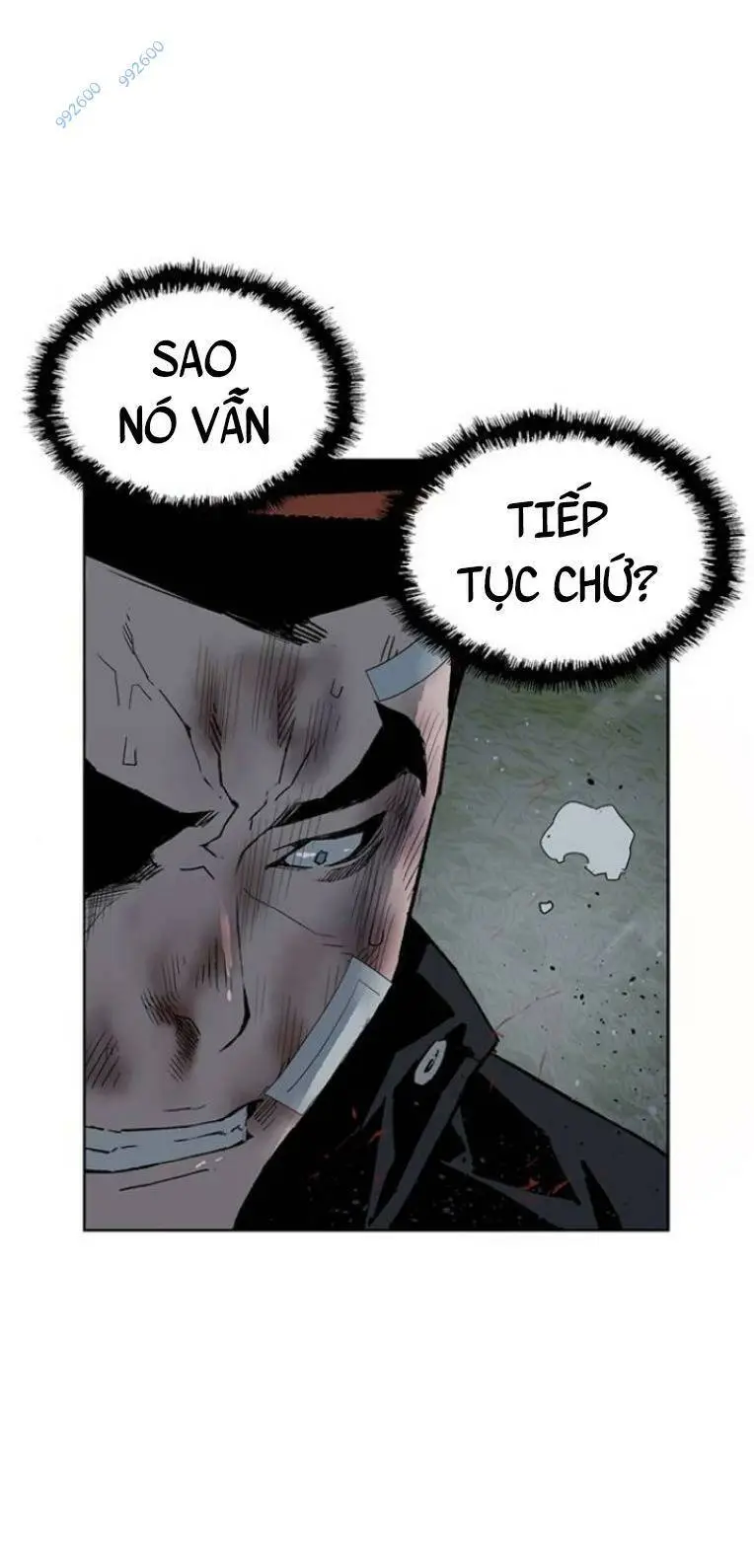 Chapter 244