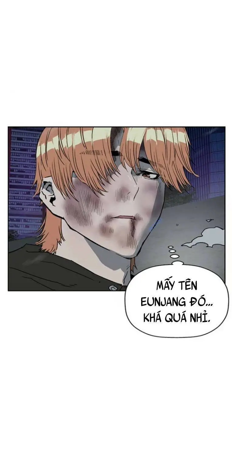 Chapter 244