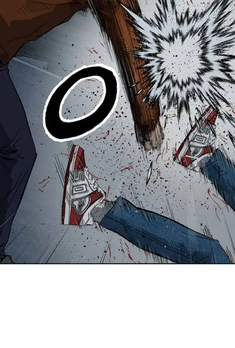 Chapter 244