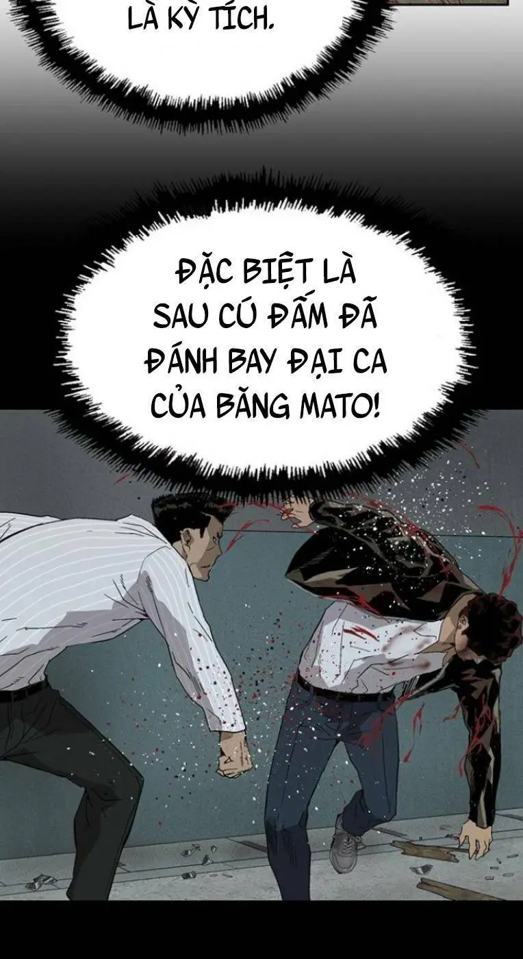 Chapter 244